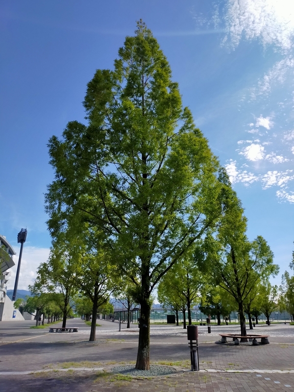 f:id:J-dream:20210911205859j:plain