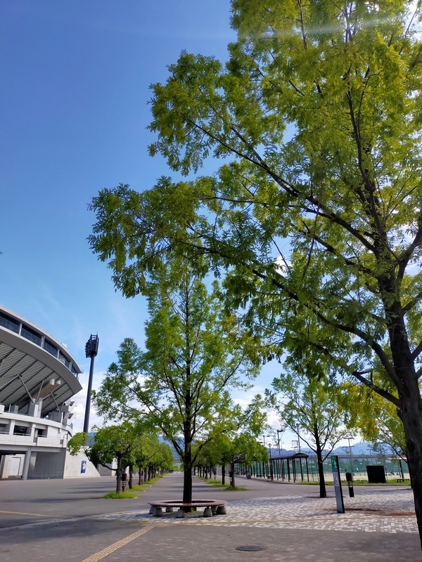 f:id:J-dream:20210911205909j:plain