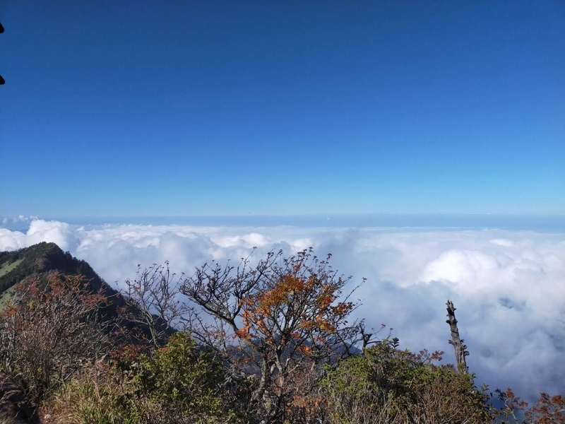 f:id:J-dream:20211017175239j:plain