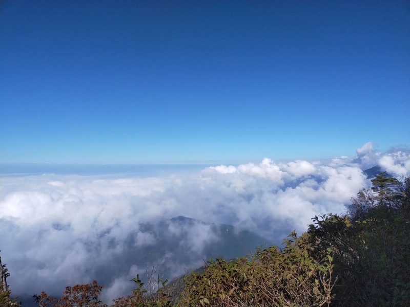 f:id:J-dream:20211017175243j:plain