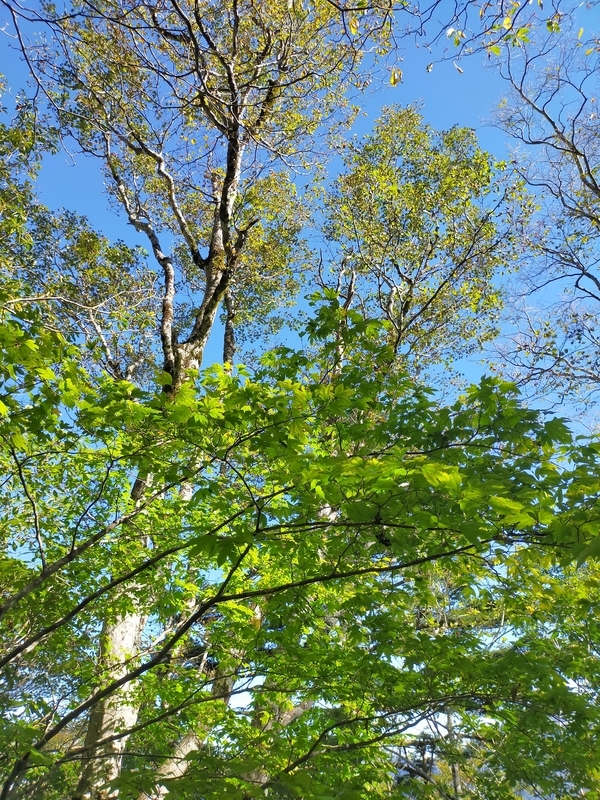 f:id:J-dream:20211017175432j:plain