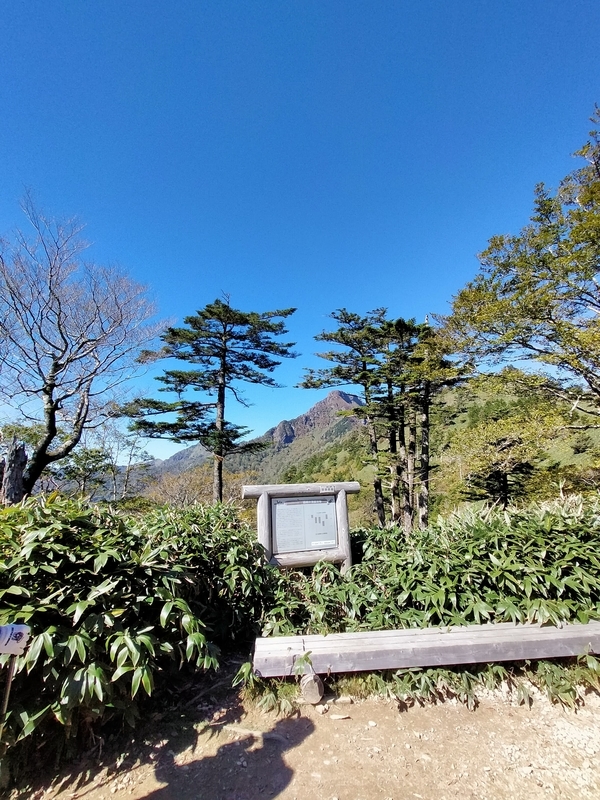 f:id:J-dream:20211017175509j:plain