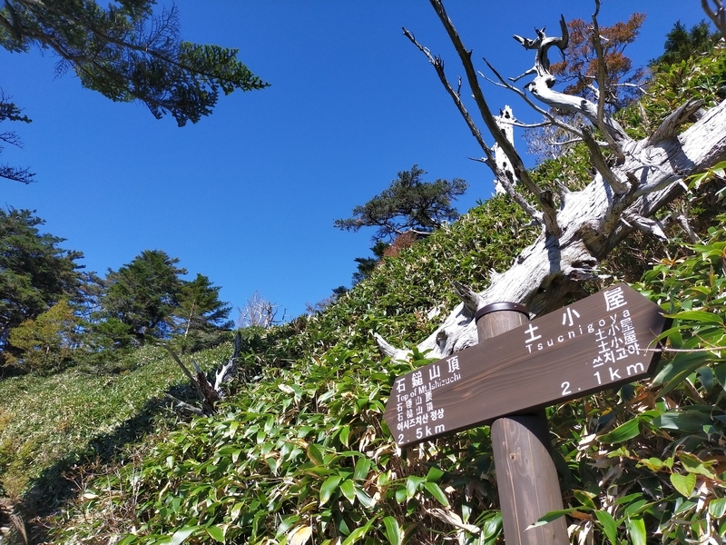 f:id:J-dream:20211017175838j:plain