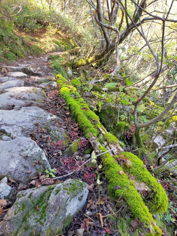 f:id:J-dream:20211017180507j:plain