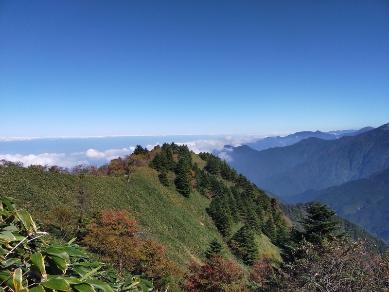 f:id:J-dream:20211017181413j:plain