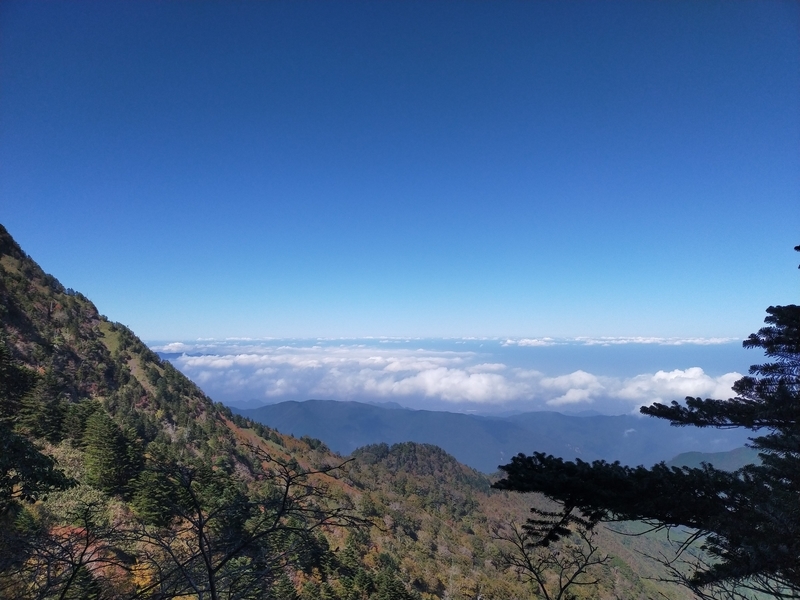 f:id:J-dream:20211017181806j:plain