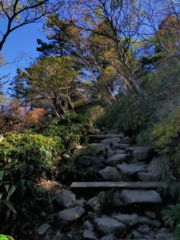 f:id:J-dream:20211017182008j:plain