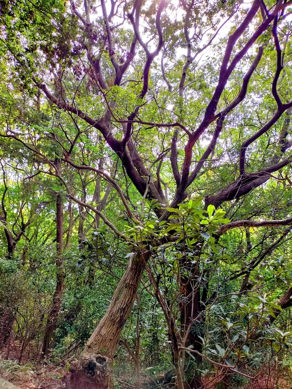 f:id:J-dream:20211114173623j:plain