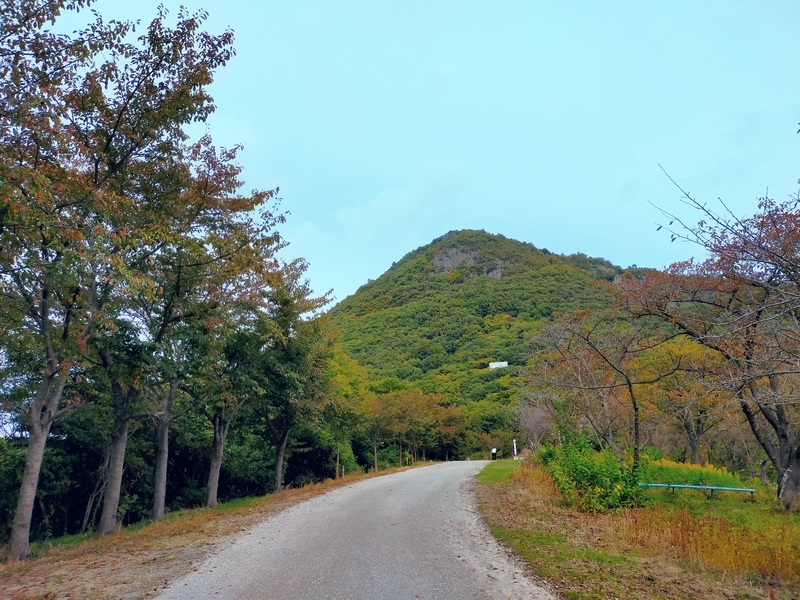 f:id:J-dream:20211114173729j:plain