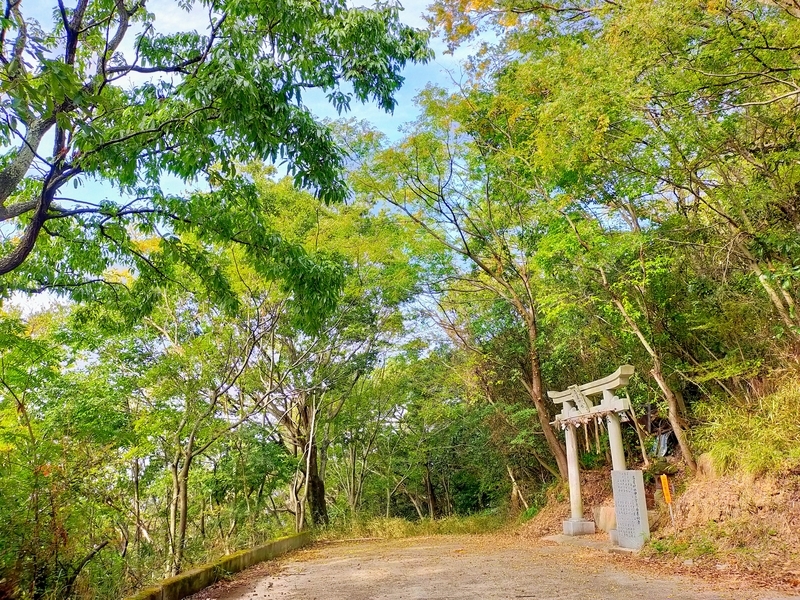 f:id:J-dream:20211114173909j:plain