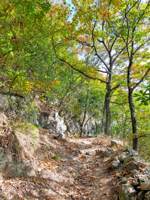 f:id:J-dream:20211114173935j:plain