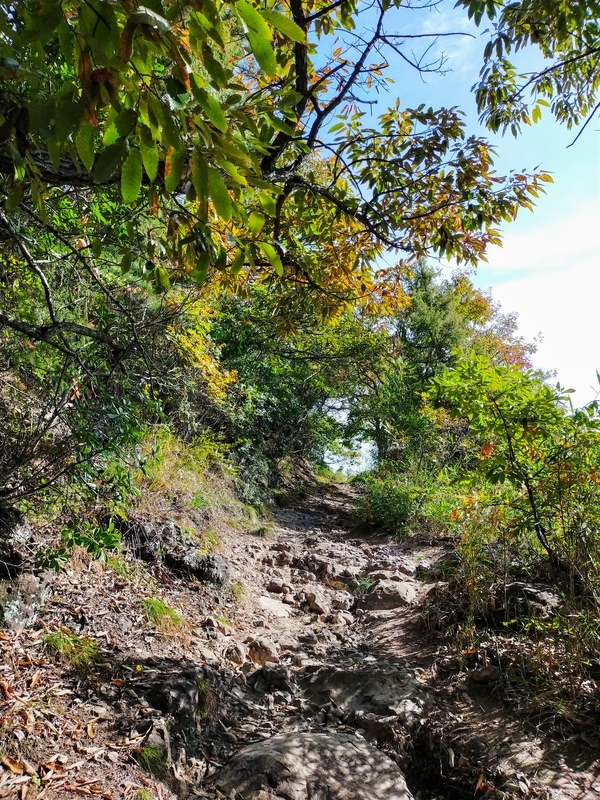 f:id:J-dream:20211114173950j:plain