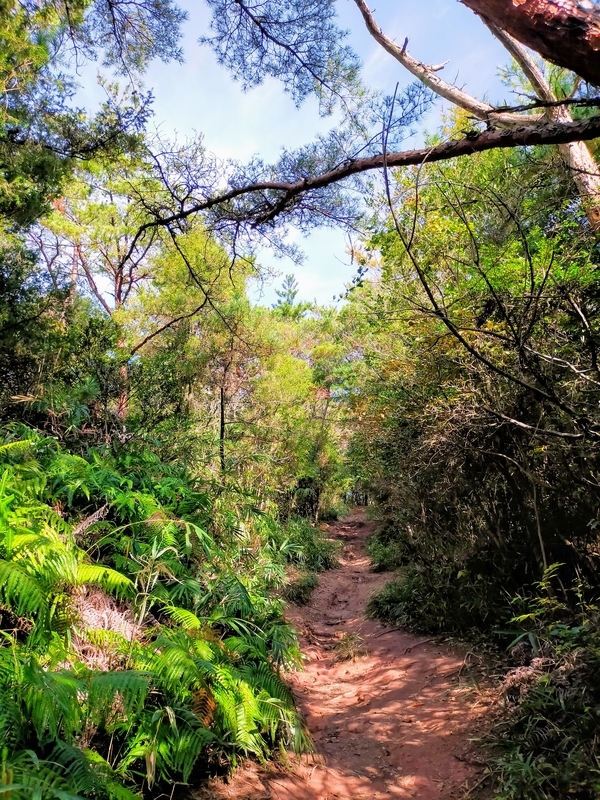 f:id:J-dream:20211114174038j:plain