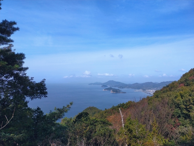 f:id:J-dream:20211114174113j:plain