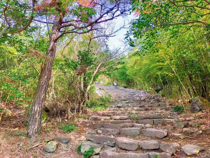 f:id:J-dream:20211114174126j:plain