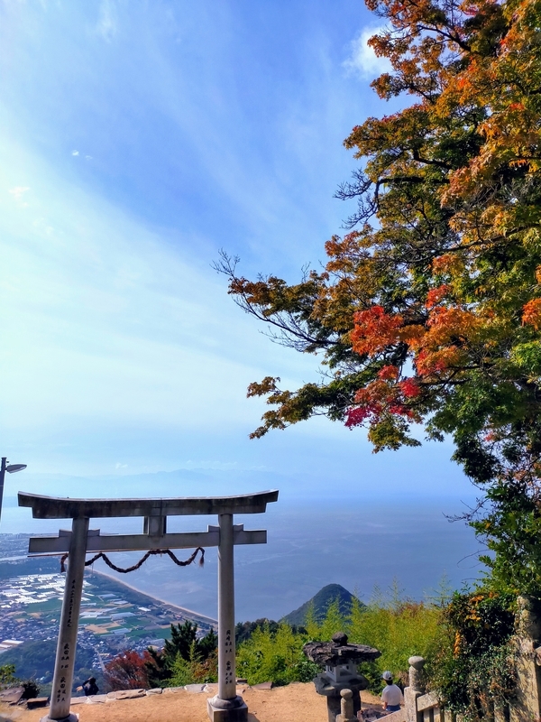 f:id:J-dream:20211114174332j:plain