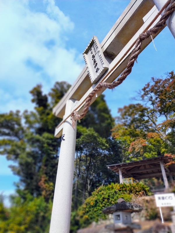 f:id:J-dream:20211114174439j:plain