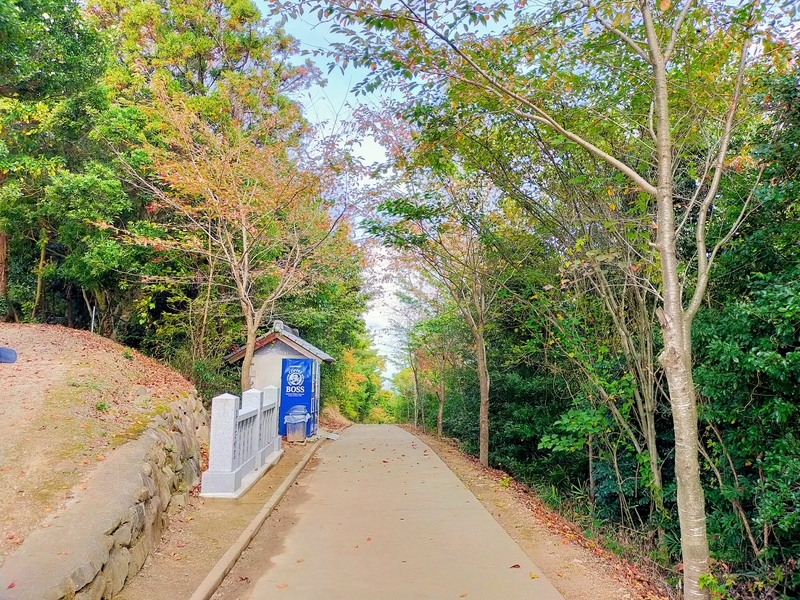 f:id:J-dream:20211114174942j:plain