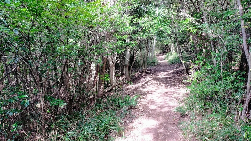 f:id:J-dream:20211205165542j:plain