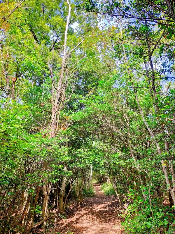 f:id:J-dream:20211205165602j:plain