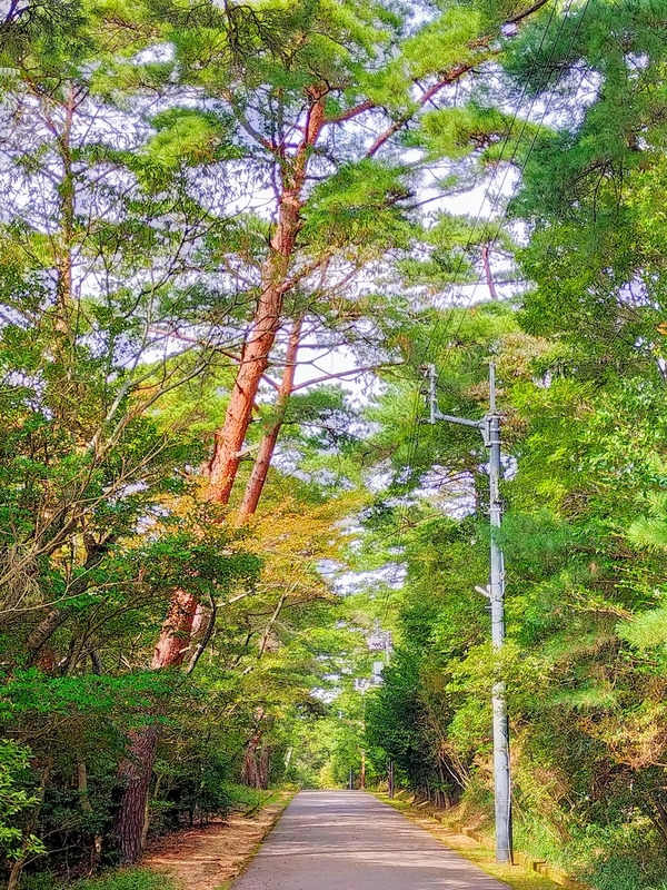 f:id:J-dream:20211205165709j:plain