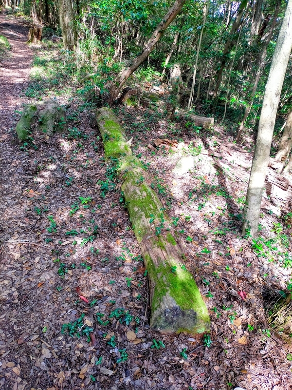 f:id:J-dream:20211205170047j:plain