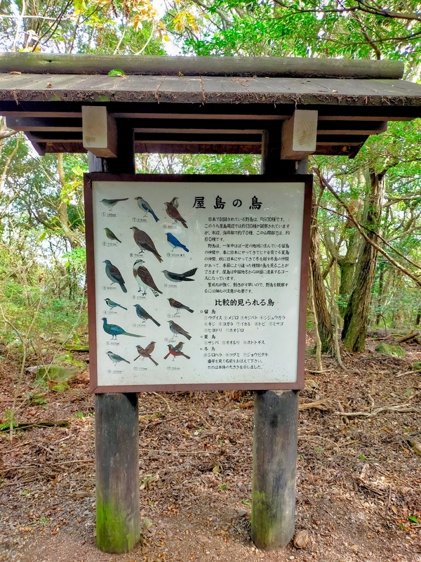 f:id:J-dream:20211205170209j:plain