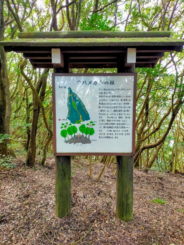 f:id:J-dream:20211205170326j:plain