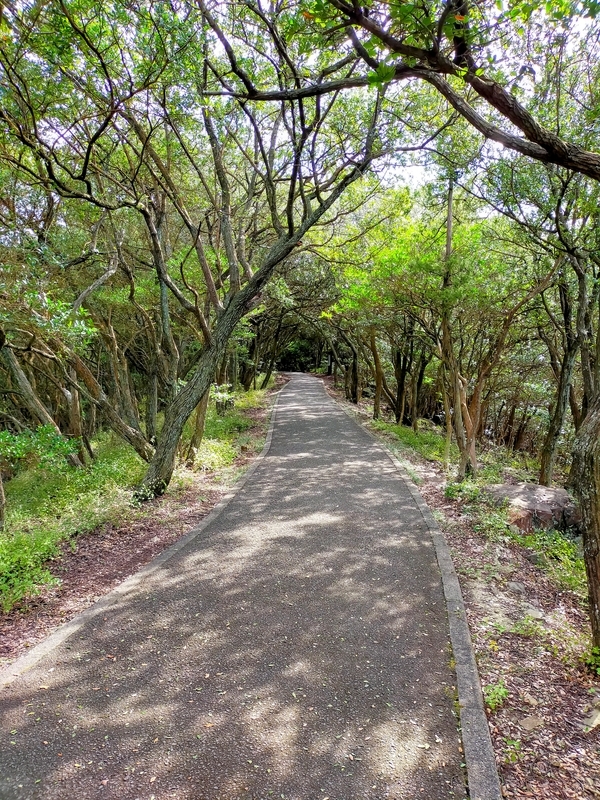 f:id:J-dream:20211205170531j:plain