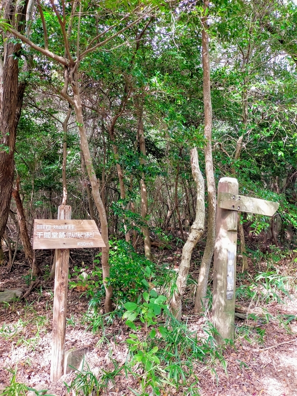 f:id:J-dream:20211205170749j:plain