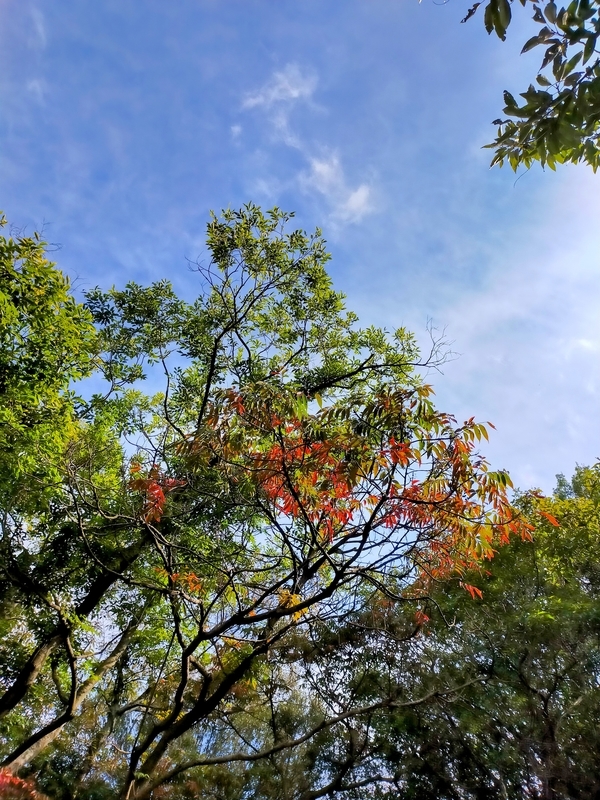 f:id:J-dream:20211205170905j:plain