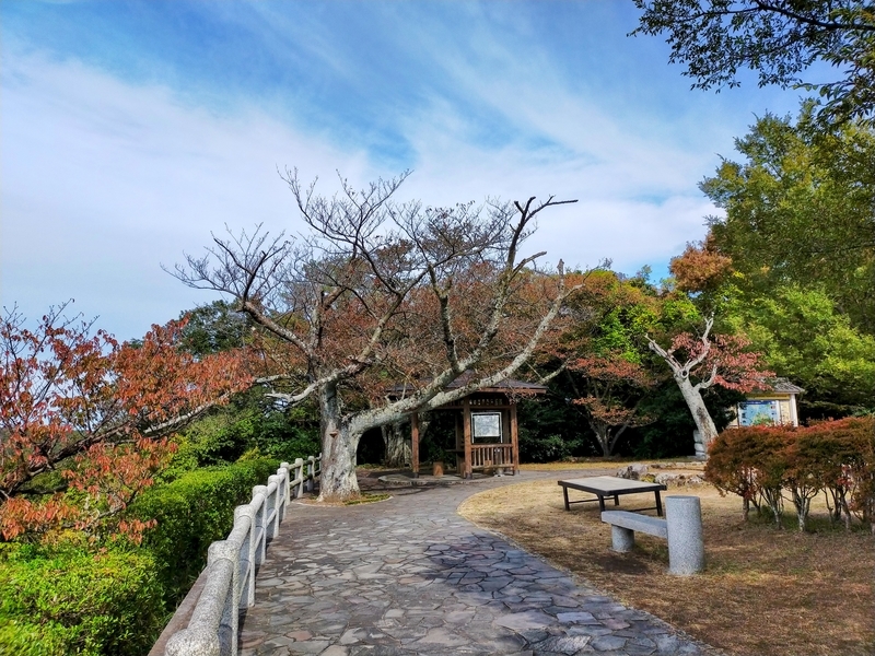 f:id:J-dream:20211205171103j:plain