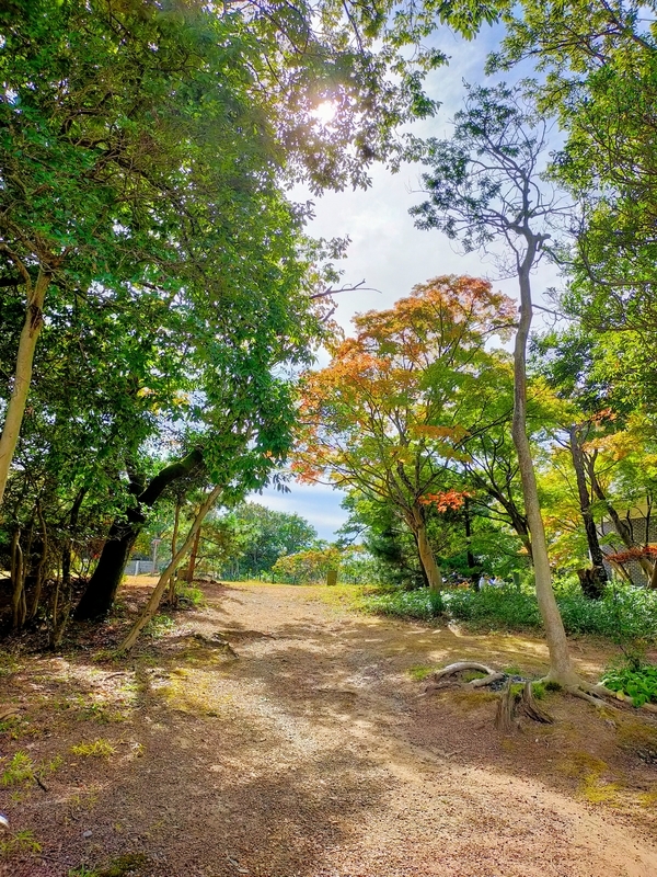 f:id:J-dream:20211205171214j:plain