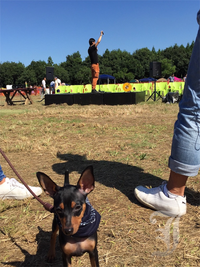 f:id:J-familiar:20161007143233j:image