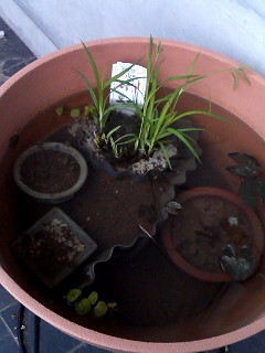 f:id:JACK:20100518211349j:image