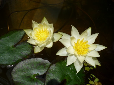 f:id:JACK:20120617114649j:image