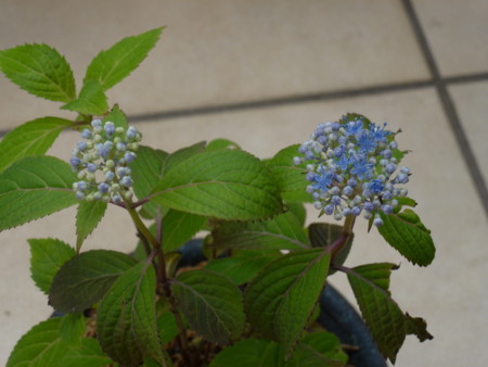 f:id:JACK:20120624104721j:image