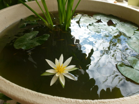 f:id:JACK:20120903144433j:image