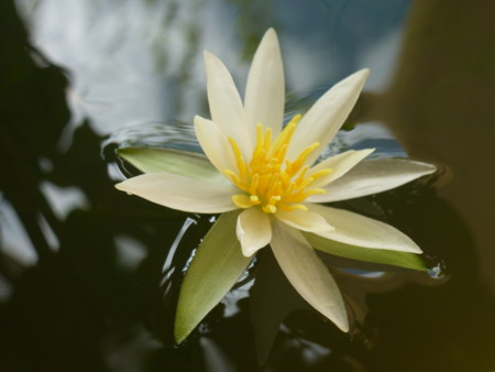 f:id:JACK:20120903144456j:image