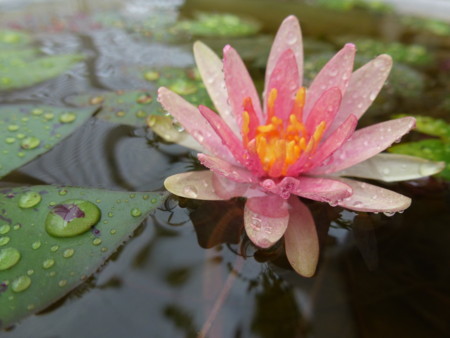 f:id:JACK:20120919100226j:image