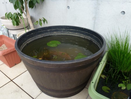 f:id:JACK:20130609150615j:image