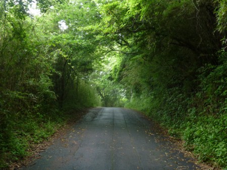 f:id:JACK:20130615165503j:image