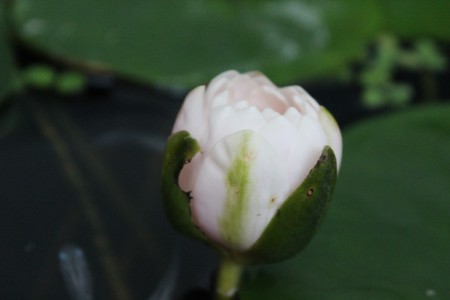 f:id:JACK:20130715053342j:image