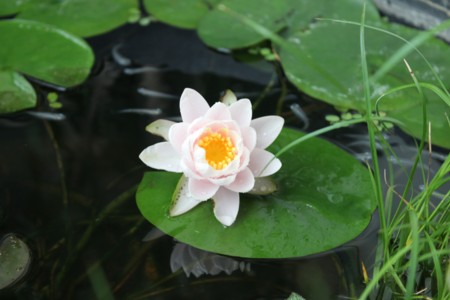 f:id:JACK:20130715074022j:image