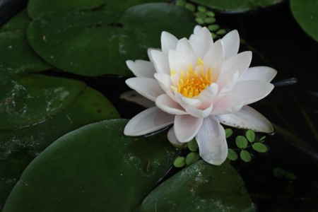 f:id:JACK:20130717072506j:image