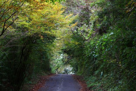 f:id:JACK:20131102115514j:image