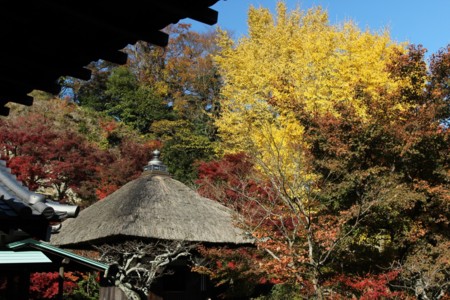 f:id:JACK:20131129114234j:image