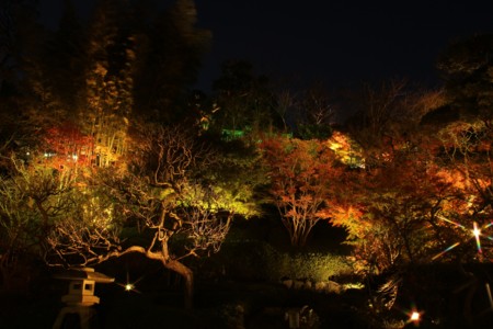 f:id:JACK:20131129171419j:image