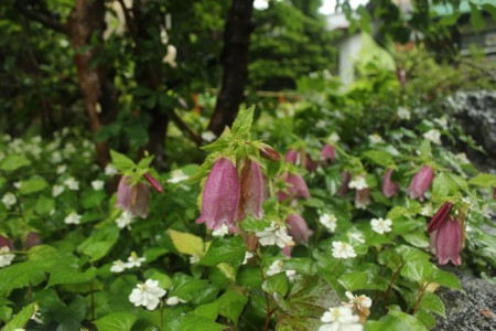 f:id:JACK:20140607130252j:image f:id:JACK:20140607130252j:image