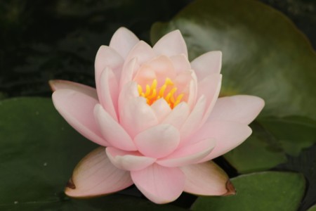 f:id:JACK:20140623091737j:image